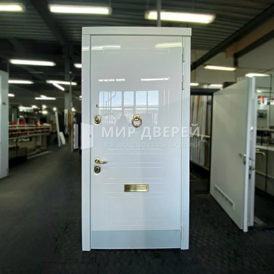 Фото двери № 518